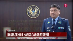 В ходе операции МВД «Қарасора-2025» конфисковали сотни килограммов наркотиков и оружие
