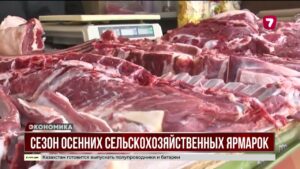 В Астане открыли сезон осенних сельскохозяйственных ярмарок