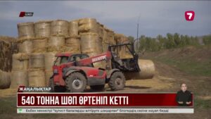 ШҚО-да қысқа әзірленген 500 тоннадан астам шөп өртеніп кеткен