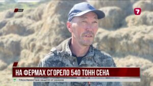 Свыше пятисот тонн сена с начала года сгорело в ВКО