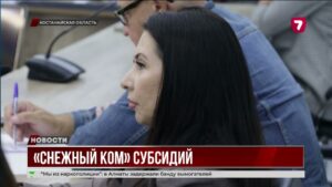 Задолженность по субсидиям для казахстанских аграриев остаётся одной из главных проблем