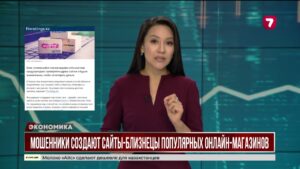 В Казахстане мошенники создают сайты-близнецы Kaspi.kz, Wildberries и Temu