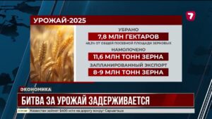 Уборка урожая в Казахстане задерживается из-за погоды