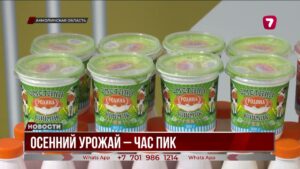 В Казахстане запустят льготное финансирование для модернизации элеваторов