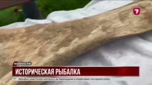 В Северо-Казахстане нашли кости гигантского мамонта