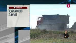 Әзербайжанда өгіз кондитер дүкенінің тас-талқанын шығарды