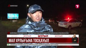 Қарағанды облысында полиция мал өнімдерін тасымалдаушыларды тексеріп жатыр