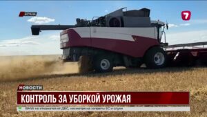 В Казахстане прогнозируют сбор зерновых в объёме 24 млн тонн