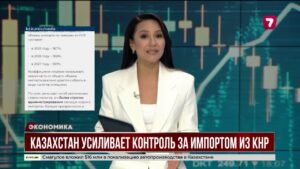 Казахстан усилит контроль китайского импорта для борьбы с «серыми» схемами