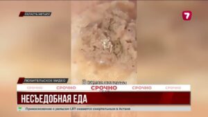 В Жетысу обнаружены личинки в школьной еде