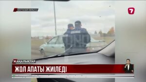 Қостанайда алғашқы қар қауды