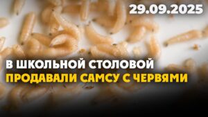 В школьной столовой продавали самсу с червями | 29.09.2025