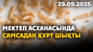 Жетісу облысындағы мектеп асханасында самсадан құрт шықты | 29.09.2025