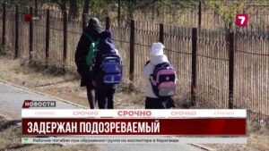 Уральские полицейские задержали подозреваемого в нападении на школьницу