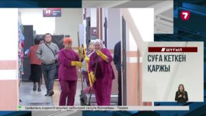 Ақмола облысында заңсыз көші-қон құжатын әзірлеген әйел ұсталды