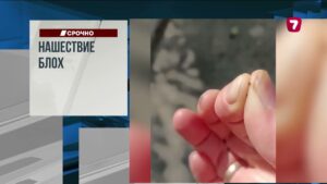 Землетрясение и тайфун обрушились на Филиппины