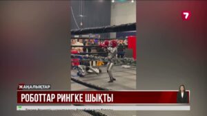 Digital Bridge форумында роботтар рингке шығып, бокстасты