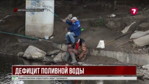 В Костанайской области река Тобол обмелела до 40 см, аграрии бьют тревогу