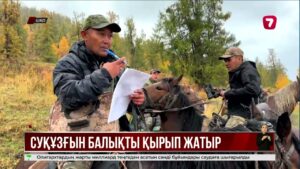 Марқакөлде қарақұтан майқан балығын қырып жатыр