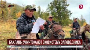 Бакланы уничтожают экосистему Маркакольского заповедника