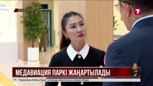 Еліміздегі санитарлық авиация көліктері қауіпсіздік талаптарына сай емес