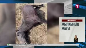 Қытайдың Аньхой провинциясында көлік кептелісі бірнеше шақырымға созылды