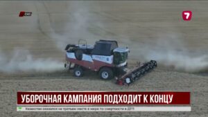 В Северо-Казахстанской области завершаетcя уборка урожая: собрано 90% посевов