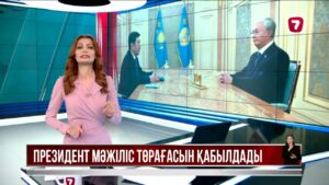 Мемлекет басшысы Мәжіліс төрағасын қабылдады