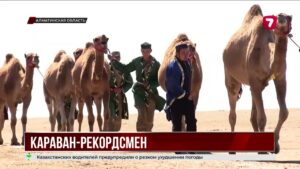 Казахстанский караван верблюдов попал в Книгу рекордов Гиннесса