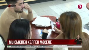 Елордада «ауру мысық» сататын әйел жазадан сытылып келеді