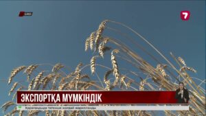 ШҚО-да ауыл шаруашылығы өнімдерін экспорттауға қажет санитарлық анықтама алу жеңілдейді