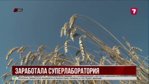 В Усть-Каменогорске открыли новую лабораторию