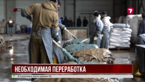 В Уральске возобновил работу кожевенный завод
