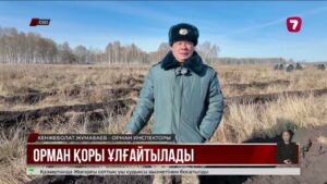 Биыл СҚО-да 24 млн ағаш отырғызылады