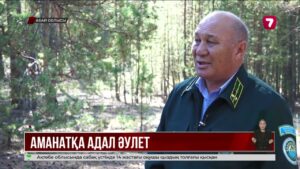 «Әр тал – аманат»: Мәуленовтер әулеті орманшылықты ата кәсіпке айналдырған