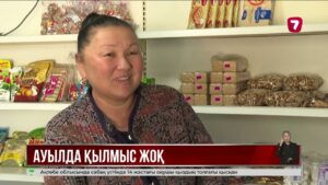 Алматы облысы Ақкөл ауылында 5 жылдан бері бірде-бір қылмыс тіркелмеген