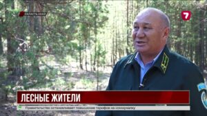 Семья Мауленовых охраняет лес поколениями