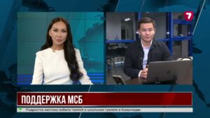 Налоговые преференции для малого бизнеса Казахстана