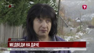 Медведи наступают на Риддер: дефицит кормов