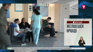 Көкшетауда жүргізуші полициядан қашамын деп жол апатына ұшырады