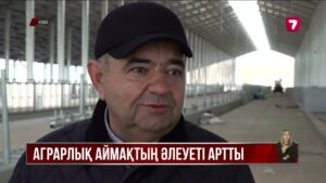СҚО-да соңғы 14 жылдағы ең мол астық жиналды