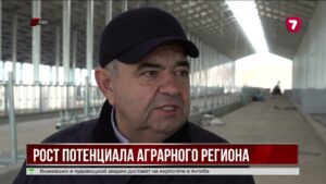 В Северо-Казахстанской области собрали рекордный урожай — 6,5 млн тонн зерна