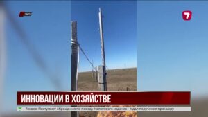 Житель ЗКО создал устройство для поения скота на расстоянии через мобильное приложение