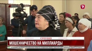 В Шымкенте осудили организаторов финансовой пирамиды «Nazira Gold»