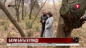 Алматыдағы Баум тоғайында жайқалып тұрған 16 ағаш оталған