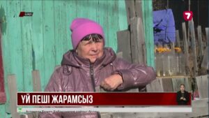 ШҚО-да жеке үйлердегі жылыту жүйесі тексерілді: 11 мыңнан аса тәртіп бұзылған