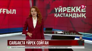 Астана тұрғыны Президент паркіндегі үйректерді қырып тастаған