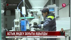 Алматы облысында бос тұрған астық өңдеу зауыты қайтадан жұмыс істей бастады