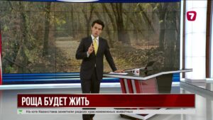 В Алматы благоустраивают рощу Баума — власти обещают сохранить каждое дерево