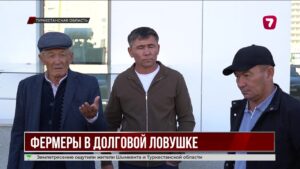 Фермеры Туркестанской области уже 5 месяцев не получают субсидии по льготным кредитам